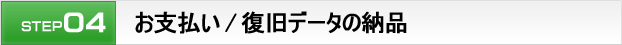 お支払い / 復旧データの納品